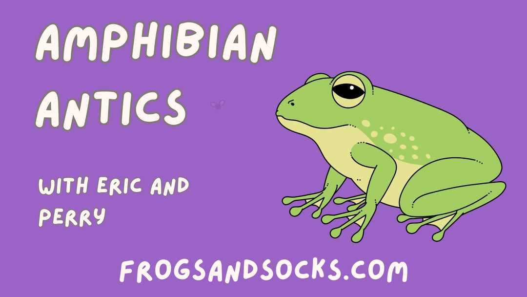 Amphibian Antics: Episode 1